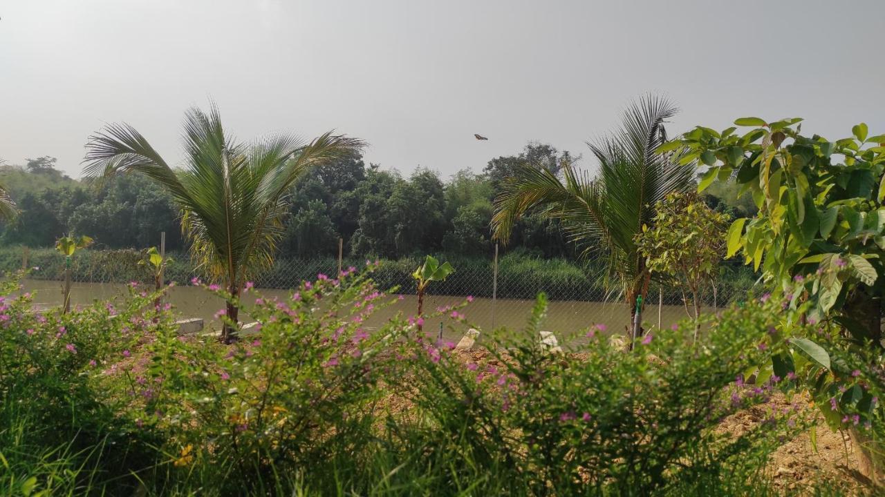 Homestay Dat Viet Каттьен Экстерьер фото