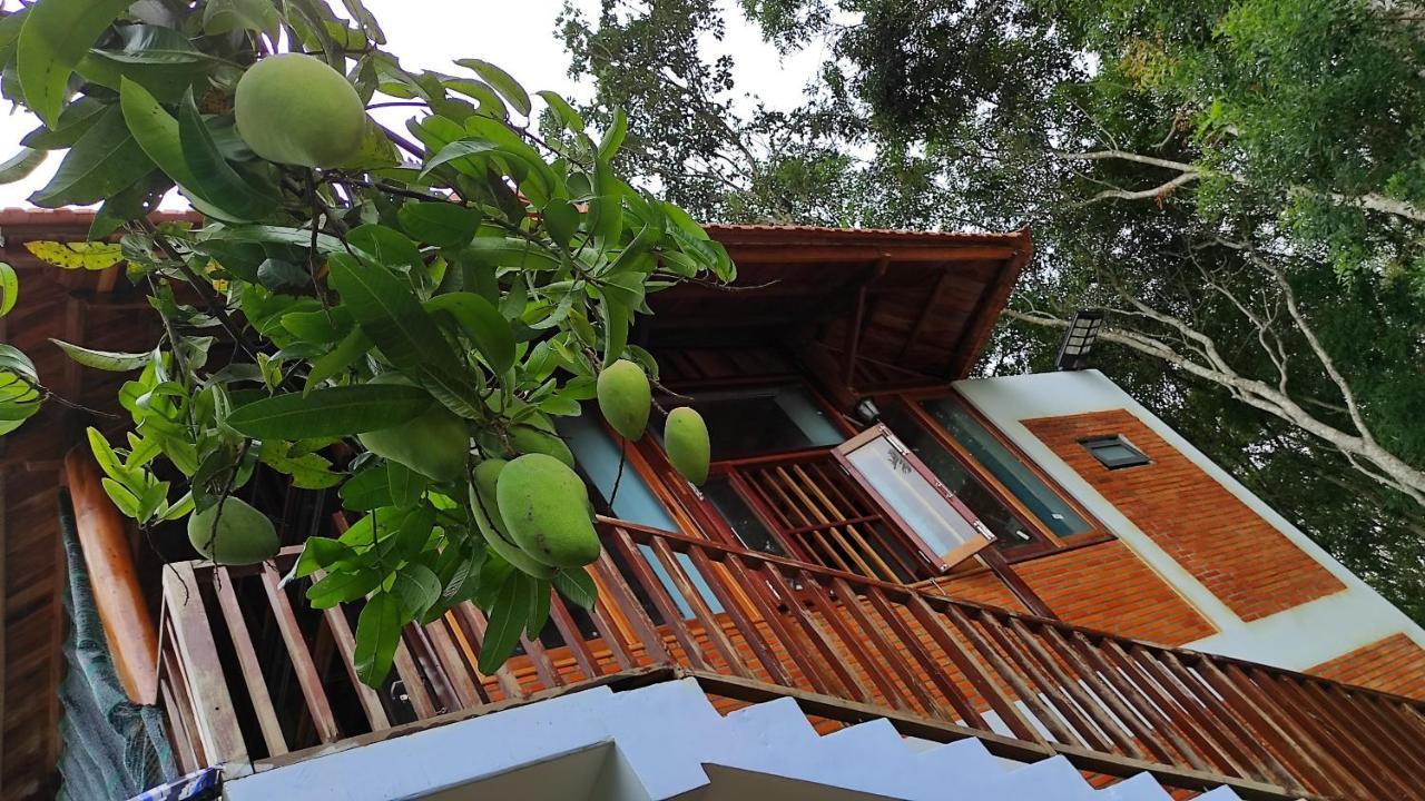 Homestay Dat Viet Каттьен Экстерьер фото